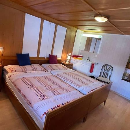 Apartment Chalet Im Sunnigen Usblick ون قن المظهر الخارجي الصورة